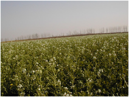 威廉希尔·williamhill(中国)中文官方网站