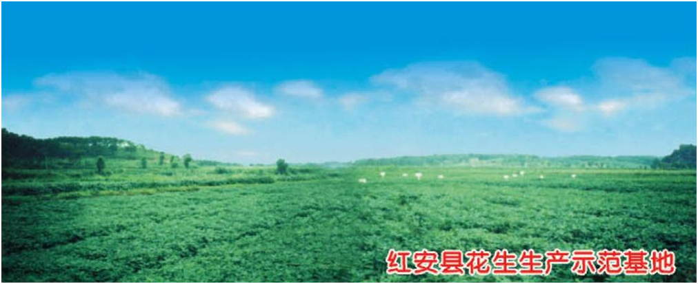 威廉希尔·williamhill(中国)中文官方网站