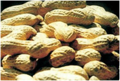 威廉希尔·williamhill(中国)中文官方网站