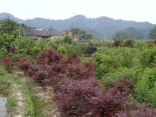 威廉希尔·williamhill(中国)中文官方网站