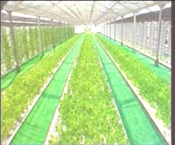 威廉希尔·williamhill(中国)中文官方网站