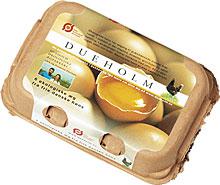 威廉希尔·williamhill(中国)中文官方网站