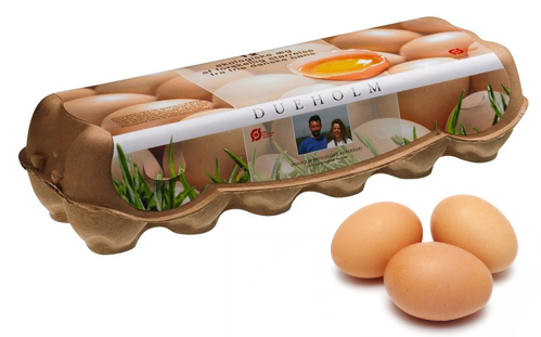 威廉希尔·williamhill(中国)中文官方网站