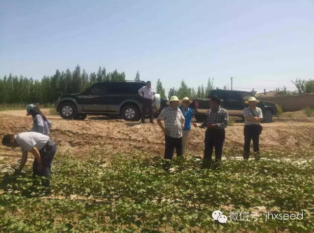 威廉希尔·williamhill(中国)中文官方网站