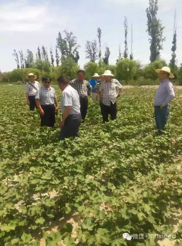 威廉希尔·williamhill(中国)中文官方网站