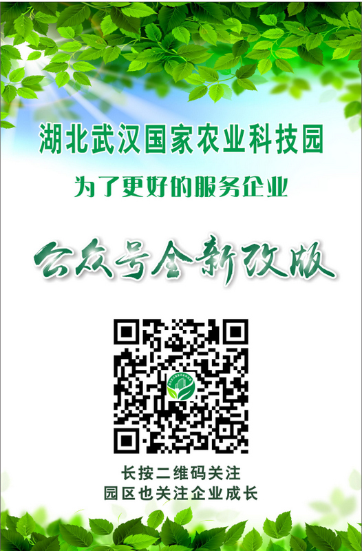 威廉希尔·williamhill(中国)中文官方网站