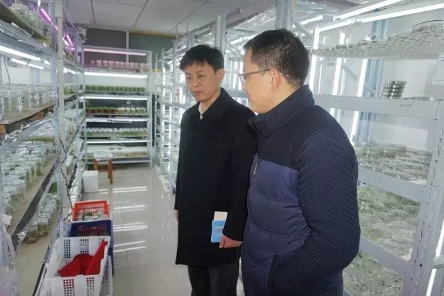 威廉希尔·williamhill(中国)中文官方网站